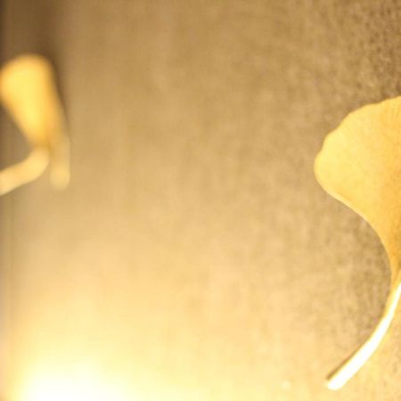 Koko Hotel Premier Κουμαμότο Εξωτερικό φωτογραφία
